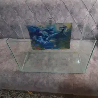 آکواریوم