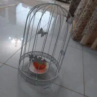 دکوری نو و در حدنو