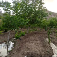 700-متر-زمین-باغی