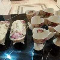 ظرف پذیرایی