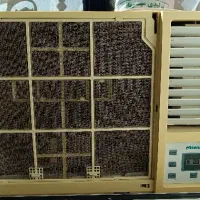 کولر هایسنس