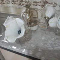 لوستر