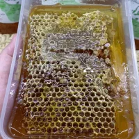 عسل طبیعی و ارگانیک ارسال از تهران به مهاباد
