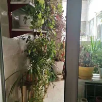 170متر3خواب  یک خواب مسترتمیزومرتب وشیک/فرهنگشهر