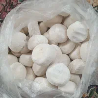 کشک بز خالص خوشمزه