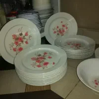 نو نو تمیز سرویس ملامین مارک نگین