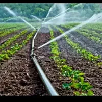 اجرای آبیاری تحت فشار قطره ای و بارانی