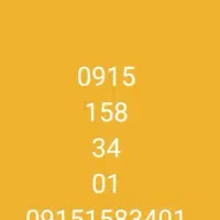 09151583401