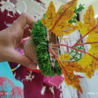 سهره|پرنده|ایلام, |دیوار
