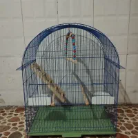 قفس و وسایل تزئینی به همراه دانه