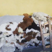 فروش انواع پوست گوسفند (دباغی شده)