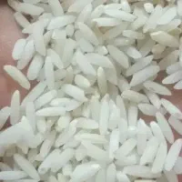برنج محلی آبه چاه عمیق