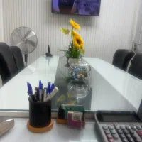 حسابدار. خانم