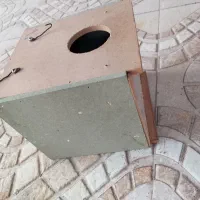اتاق پرنده