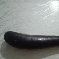 بادمجان و گوجه