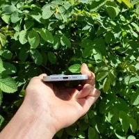 iPhone 15 /128G|موبایل|سقز, |دیوار
