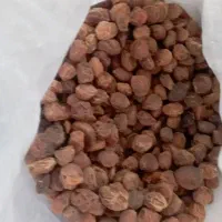 فروش زرد آلوی آفتابی