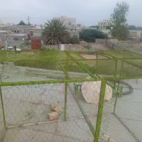 قفس دوب جال
