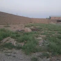 زمین