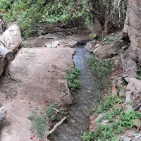 فروش باغ میوه ای