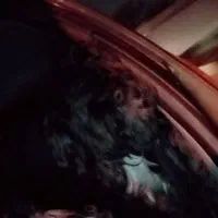 واگذاری شیتزو