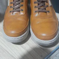 کفش کتونی