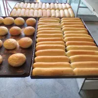 نان فانتزی خوش (طعم)واقع درشهرقائم  افتتاح شد