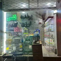 مغازه-فروشی