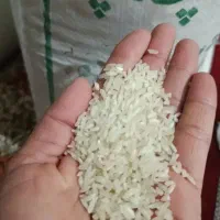 برنج چمپا به شرط پخت