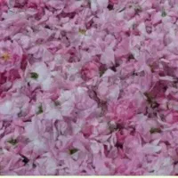 عرقیجات خالص خونگی