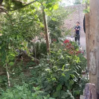 خانه ویلایی قدیمی در سیس