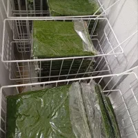سبزی خورشتی
