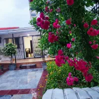 ویلا لب دریا