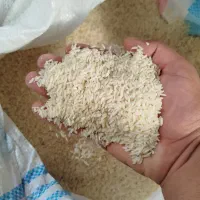 برنج طارم هاشمی