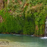 کوه و پارک با آلان گشت