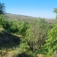 باغ عباس آباد کوچه گرده پزی