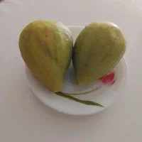 انجیربزرگ