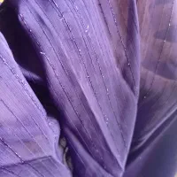 دو عدد پرده به رنگ بنفش و لمه نقره یی
