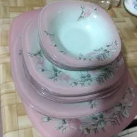 سرویس چینی آذین اوپال 6 نفره 24 تکه