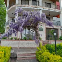 جابکسر بلوار سرولات