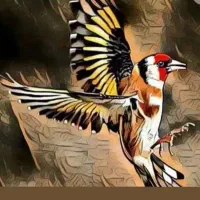 سایبان وکنووداصلی چهارخروجه معاوضه