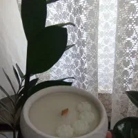 وارمر