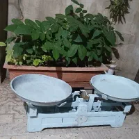ترازو|فروشگاه و مغازه|قزوین, |دیوار