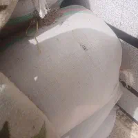 شلتوک درجه 1