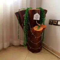 درختچه تزئینی طبیعی