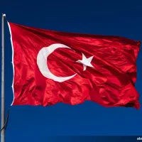 چوپانی در ترکیه. و کار چوب بری در جنگلم هست .