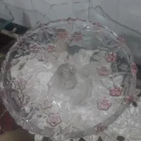 شیرینی خوری