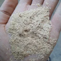 فروش سبوس و ذرت علوفه زیر قیمت