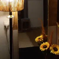 همیشه درتخیف. ماساژ.حجامت .بادکش