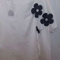 بلوز|لباس|اردبیل, |دیوار